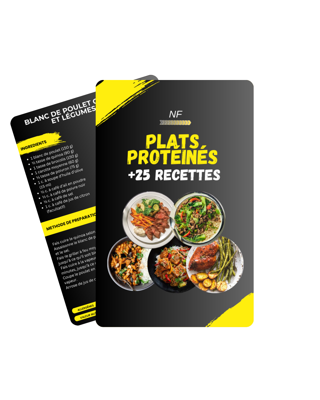 Plats Protéinés – Édition Plats Principaux 🍽️